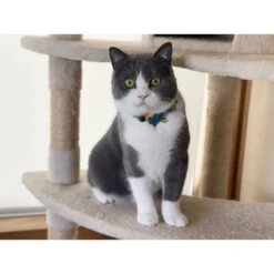 Necoichi Yukata Bow Tie Breakaway Cat Collar -Meow Meals 335345 PT8. AC SS1800 V1644907617