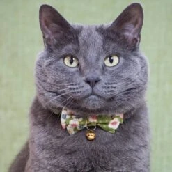 Necoichi Hanami Bow Tie Breakaway Cat Collar -Meow Meals 335355 PT5. AC SS1800 V1644903433