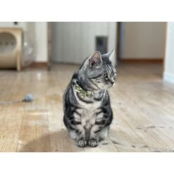 Necoichi Hanami Bow Tie Breakaway Cat Collar -Meow Meals 335355 PT6. AC SS1800 V1644911837