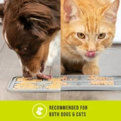 Hyper Pet IQ Enterain Dog & Cat Lick Mat, Gray -Meow Meals 338384 PT4. AC SS1800 V1634654810