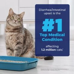 Vetnique Labs Glandex Tuna Flavored Powder Digestive Supplement For Cats 13 Vetnique Labs Glandex Tuna Flavored Powder Digestive Supplement For Cats -Meow Meals 338792 PT2. AC SS1800 V1689975300