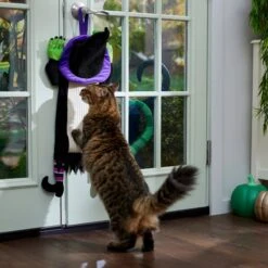 Frisco Halloween Witch Doorknob Hanger Cat Toy With Catnip -Meow Meals 344092 PT3. AC SS1800 V1657657035