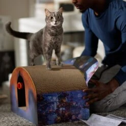 Pixar Coco Marigold Bridge Scratcher Cat Toy -Meow Meals 344557 PT3. AC SS1800 V1689878513