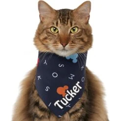 Disney "M-I-C-K-E-Y M-O-U-S-E" Personalized Dog & Cat Bandana -Meow Meals 346374 PT2. AC SS1800 V1671228217