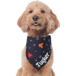 Disney "M-I-C-K-E-Y M-O-U-S-E" Personalized Dog & Cat Bandana -Meow Meals 346374 PT3. AC SS1800 V1671228218