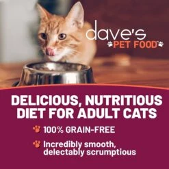 Dave's Pet Food Saucey Pate Chicken & Beef Recipe Wet Cat Food, 5.5-oz Can, Case Of 24 -Meow Meals 352421 PT1. AC SS1800 V1640271707