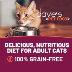 Dave's Pet Food Shredded Chicken & Ocean Whitefish Dinner In Gravy Recipe Wet Cat Food, 2.8-oz Can, Case Of 24 -Meow Meals 352439 PT1. AC SS1800 V1640271683
