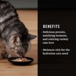 Fancy Feast Classic Seafood Feast Variety Pack Canned Cat Food & American Journey Landmark Broths Seafood Variety Pack Wet Cat Food Complement Pouches -Meow Meals 353371 PT8. AC SS1800 V1639527992