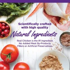 Wellness Complete Health Natural Grain-Free Deboned Chicken & Chicken Meal Dry Kitten Food & Wellness Complete Health Kitten Variety Pack Grain-Free Canned Cat Food, 3-oz, Case Of 12 -Meow Meals 353443 PT6. AC SS1800 V1639543894