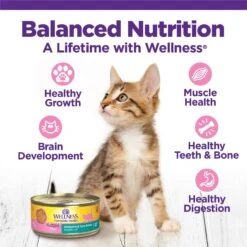 Wellness Complete Health Natural Grain-Free Deboned Chicken & Chicken Meal Dry Kitten Food & Wellness Complete Health Kitten Variety Pack Grain-Free Canned Cat Food, 3-oz, Case Of 12 -Meow Meals 353443 PT7. AC SS1800 V1639532214
