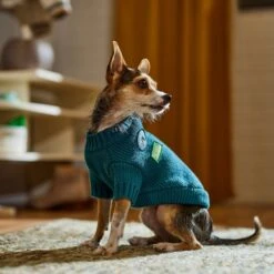 Frisco Teal Button Down Dog & Cat Sweater -Meow Meals 353580 PT7. AC SS1800 V1660749932
