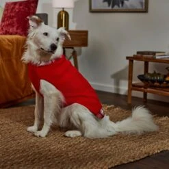 Frisco Plaid Cable Knit Dog & Cat Sweater -Meow Meals 353611 PT7. AC SS1800 V1660749926