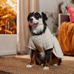 Frisco Tweed Weave Ruffle Skirt Dog & Cat Dress -Meow Meals 353649 PT6. AC SS1800 V1660750168