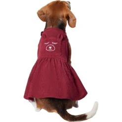Frisco Sleepy Face Dog & Cat Dress -Meow Meals 353657 PT2. AC SS1800 V1659008189