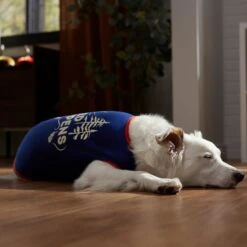 Frisco Shed Happens Dog & Cat T-Shirt -Meow Meals 353698 PT7. AC SS1800 V1660749629