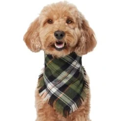 Frisco Plaid Fringe Dog & Cat Bandana -Meow Meals 353769 PT2. AC SS1800 V1659010812