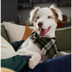 Frisco Plaid Fringe Dog & Cat Bandana -Meow Meals 353769 PT6. AC SS1800 V1660749811