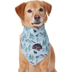 Frisco Moose Lodge Dog & Cat Bandana 12 Frisco Moose Lodge Dog & Cat Bandana -Meow Meals 353774 PT2. AC SS1800 V1659008241