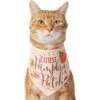 Frisco Cutest Pumpkin In The Patch Dog & Cat Bandana -Meow Meals 353777 MAIN. AC SS1800 V1659010811