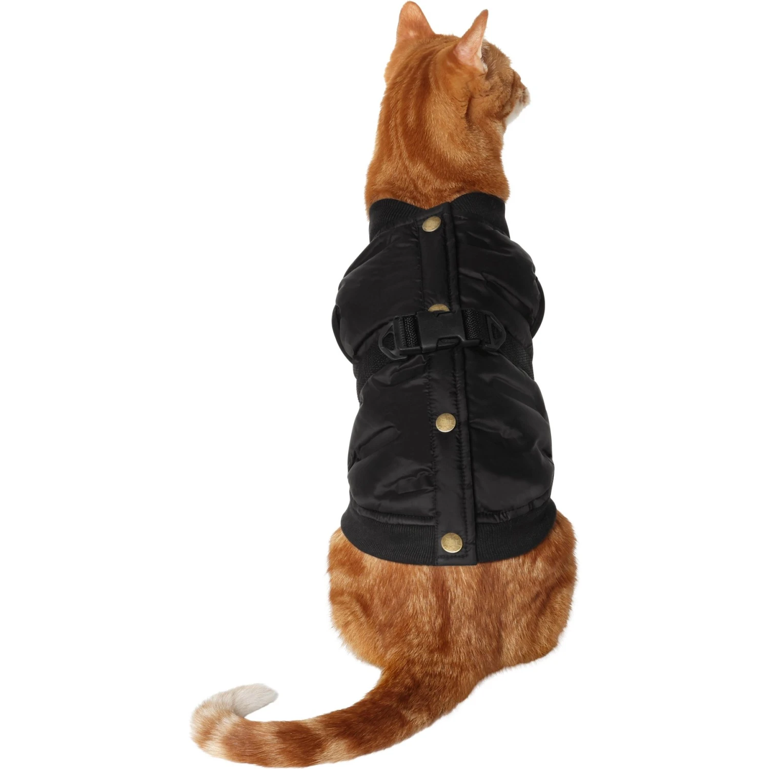 Frisco Lightweight Belted Puffer Dog & Cat Jacket 3 Frisco Lightweight Belted Puffer Dog & Cat Jacket
