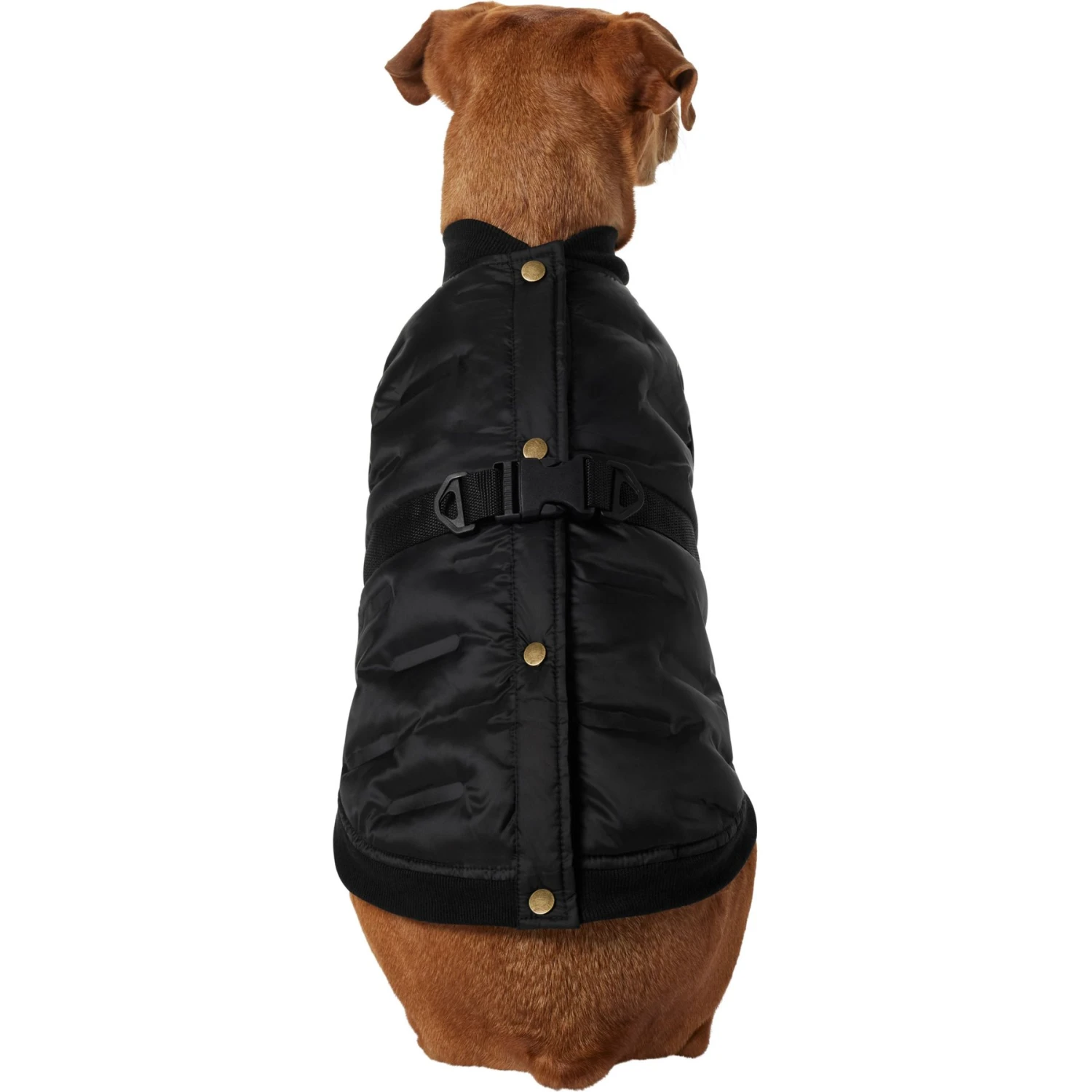 Frisco Lightweight Belted Puffer Dog & Cat Jacket 5 Frisco Lightweight Belted Puffer Dog & Cat Jacket - Image 3