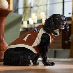 Frisco Lightweight Varsity Dog & Cat Jacket -Meow Meals 353861 PT7. AC SS1800 V1660749417