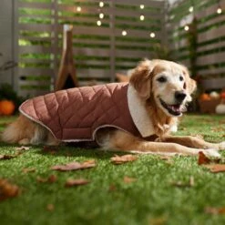 Frisco Mid-Heavyweight Fleece Lined Quilted Dog & Cat Coat 16 Frisco Mid-Heavyweight Fleece Lined Quilted Dog & Cat Coat -Meow Meals 353877 PT7. AC SS1800 V1660750171