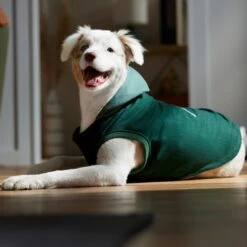 Frisco Lightweight Classic Dog & Cat Coat -Meow Meals 353901 PT7. AC SS1800 V1660749440