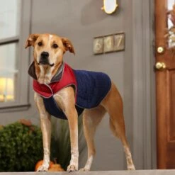 Frisco Mediumweight Cubed Dog & Cat Coat 16 Frisco Mediumweight Cubed Dog & Cat Coat -Meow Meals 353917 PT7. AC SS1800 V1660750073