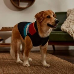 STAR WARS Retro Fleece Dog & Cat Hoodie -Meow Meals 354027 PT8. AC SS1800 V1660750163