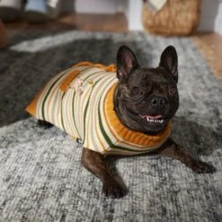 Disney Winnie The Pooh Dog & Cat Faux Cardigan 15 Disney Winnie The Pooh Dog & Cat Faux Cardigan -Meow Meals 354036 PT7. AC SS1800 V1660749564