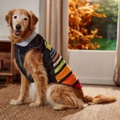 STAR WARS Lightweight Retro Dog & Cat Fleece Vest -Meow Meals 354052 PT7. AC SS1800 V1660749933