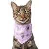 Disney Frozen Pattern Dog & Cat Bandana 2 Disney Frozen Pattern Dog & Cat Bandana -Meow Meals 354062 MAIN. AC SS1800 V1658774724