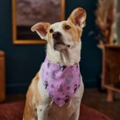 Disney Frozen Pattern Dog & Cat Bandana -Meow Meals 354062 PT6. AC SS1800 V1660750168