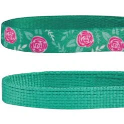 Blueberry Pet The Power Of All In One Stunning Plum Adjustable Breakaway Cat Collar With Bell, 2 Count 13 Blueberry Pet The Power Of All In One Stunning Plum Adjustable Breakaway Cat Collar With Bell, 2 Count -Meow Meals 354270 PT5. AC SS1800 V1639503422