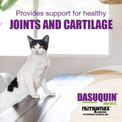 Nutramax Dasuquin Hip & Joint Soft Chews Joint Supplement For Cats -Meow Meals 354368 PT1. AC SS1800 V1668631967