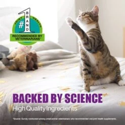 Nutramax Dasuquin Hip & Joint Soft Chews Joint Supplement For Cats -Meow Meals 354368 PT3. AC SS1800 V1668637422