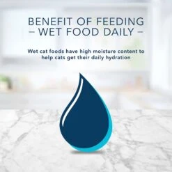 Blue Buffalo Tastefuls Spoonless Singles Chicken Entrée Pate Adult Cat Food, 2.6-oz Cup, Case Of 24 -Meow Meals 354411 PT8. AC SS1800 V1642009048