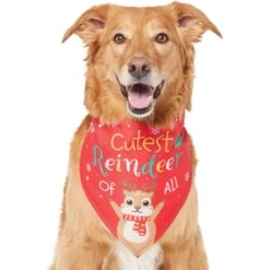 Frisco Cutest Reindeer Of All Dog & Cat Bandana -Meow Meals 357931 PT2. AC SS1800 V1660756046