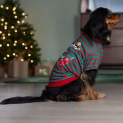 Frisco Naughty, Nice, I Tried Dog & Cat T-Shirt -Meow Meals 358301 PT7. AC SS1800 V1661797473