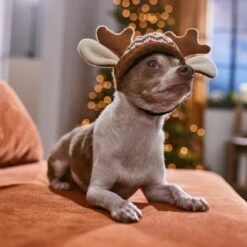 Frisco Antler Fair Isle Dog & Cat Hat -Meow Meals 358313 PT4. AC SS1800 V1661798696