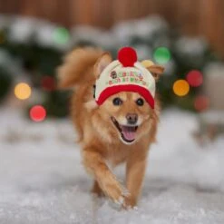 STAR WARS Knit Dog & Cat Hat -Meow Meals 358443 PT4. AC SS1800 V1661799043