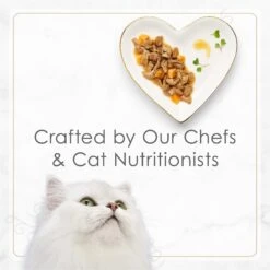 Fancy Feast Gourmet Gravy Petites Turkey & Sweet Potato Entree Wet Cat Food -Meow Meals 358577 PT6. AC SS1800 V1647910619