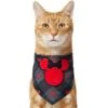Disney Minnie Mouse Plaid Dog & Cat Bandana -Meow Meals 361491 MAIN. AC SS1800 V1660703928