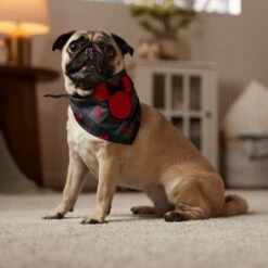 Disney Minnie Mouse Plaid Dog & Cat Bandana -Meow Meals 361491 PT6. AC SS1800 V1661798242