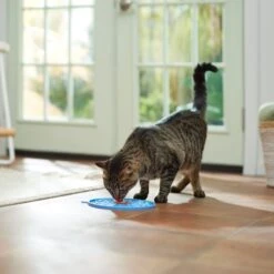 Frisco Non-skid Flower Silicone Dog & Cat Lick Mat, Blue -Meow Meals 363393 PT3. AC SS1800 V1660750521