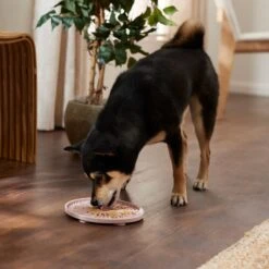 Frisco Silicone Dog & Cat Lick Mat With Suction Cups, Pink -Meow Meals 363395 PT2. AC SS1800 V1660750521