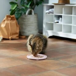 Frisco Silicone Dog & Cat Lick Mat With Suction Cups, Pink -Meow Meals 363395 PT3. AC SS1800 V1660750521
