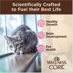 Wellness CORE Tiny Tasters Kitten Chicken Grain-Free Pate Wet Cat Food, 1.75-oz Pouch, Case Of 12 -Meow Meals 363903 PT2. AC SS1800 V1695832282