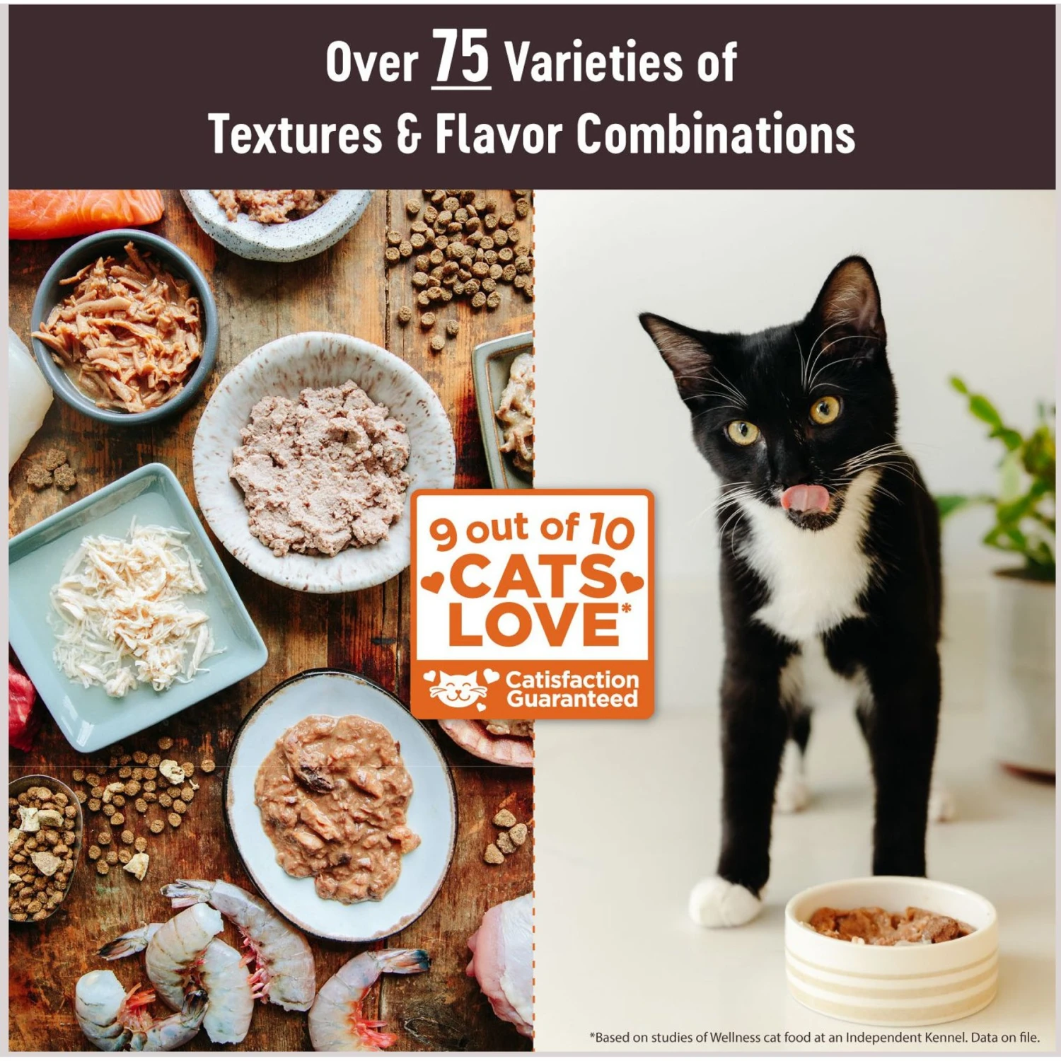 Wellness Tiny Tasters Tuna & Salmon Grain-Free Flaked Wet Cat Food, 1.75-oz Pouch, Case Of 12 4 Wellness Tiny Tasters Tuna & Salmon Grain-Free Flaked Wet Cat Food, 1.75-oz Pouch, Case Of 12 - Image 2